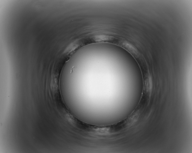 X0000086240426200704051223