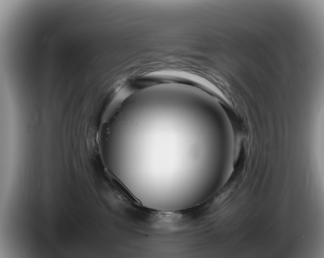 X0000086240429200704051223