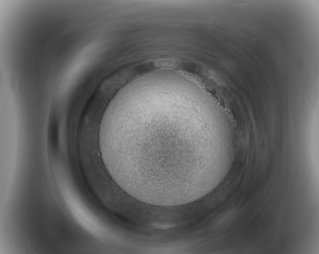 X0000086240431200704051223