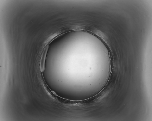 X0000086240433200704051222