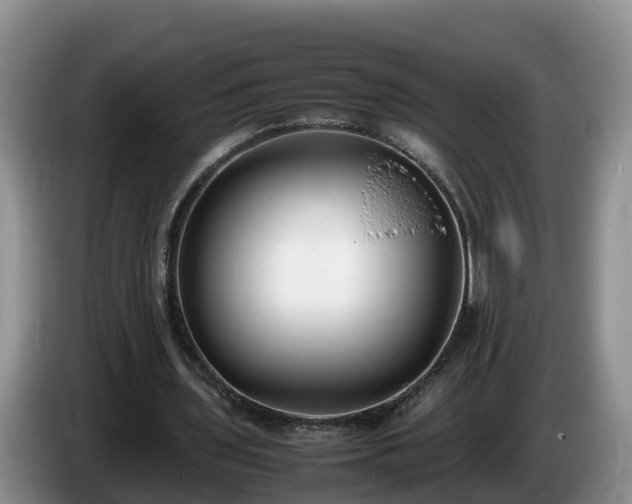X0000086240435200704051222