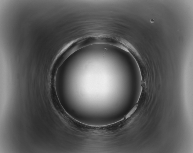 X0000086240436200704051222