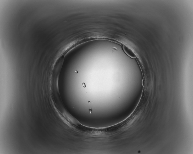 X0000086240437200704051222