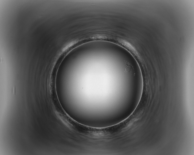 X0000086240439200704051222