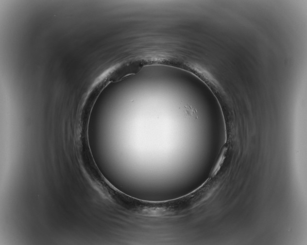 X0000086240440200704051222