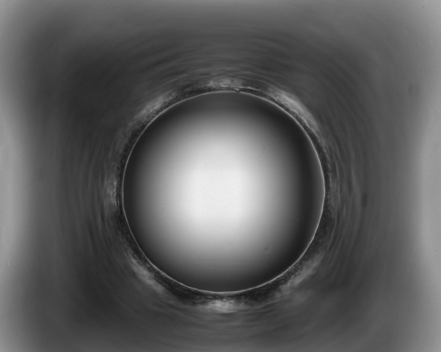 X0000086240441200704051222