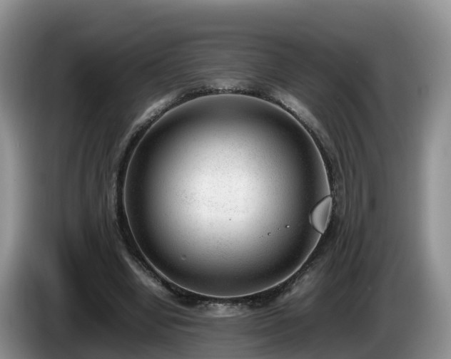 X0000086240442200704051222