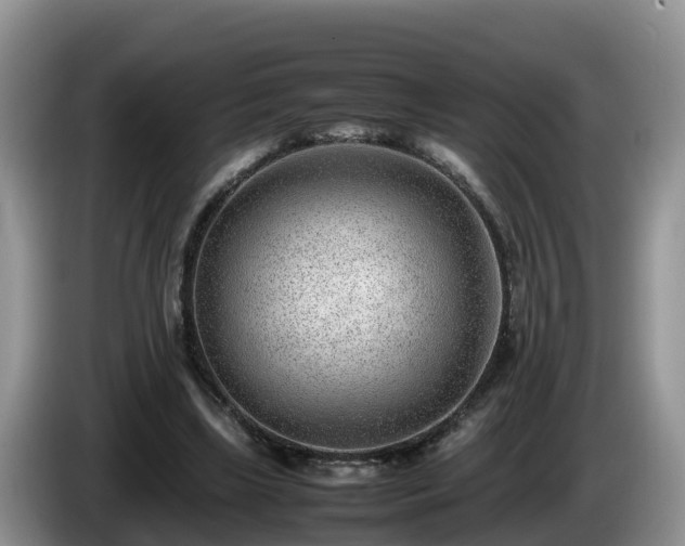 X0000086240443200704051222