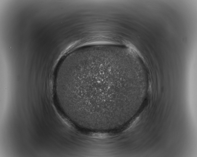 X0000086240444200704051222
