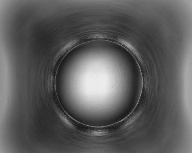 X0000086240445200704051222