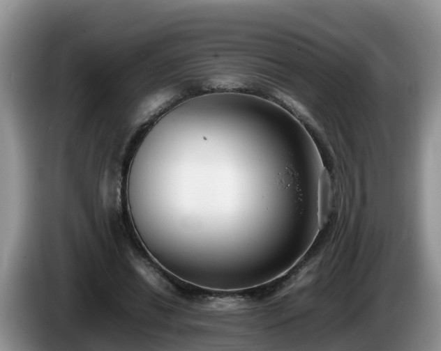 X0000086240446200704051222