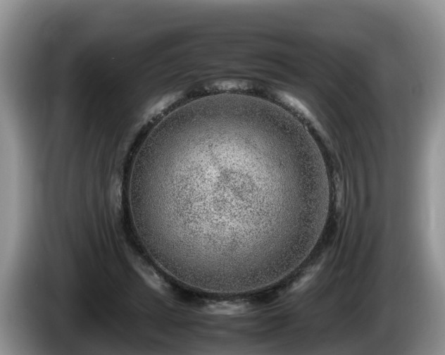 X0000086240447200704051222