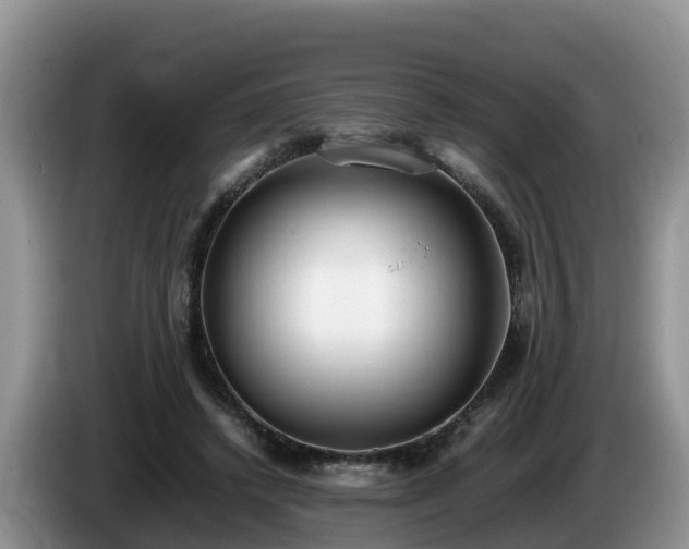 X0000086240448200704051222