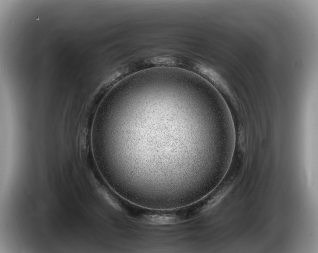 X0000086240449200704051222