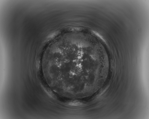 X0000086240451200704051222