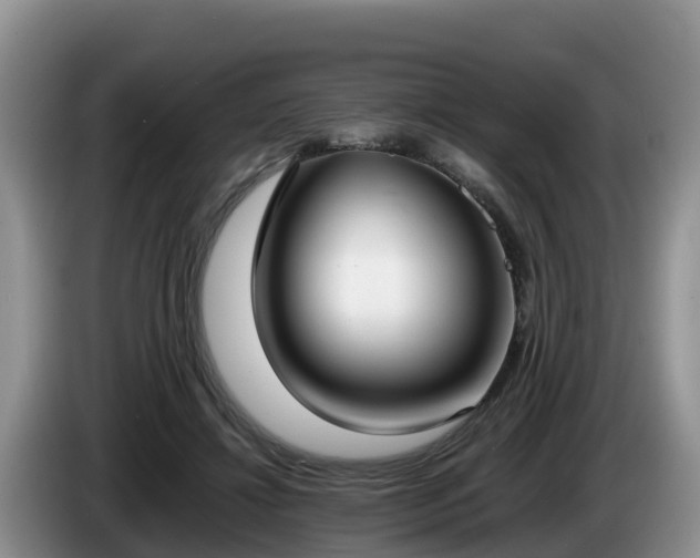 X0000086240452200704051222