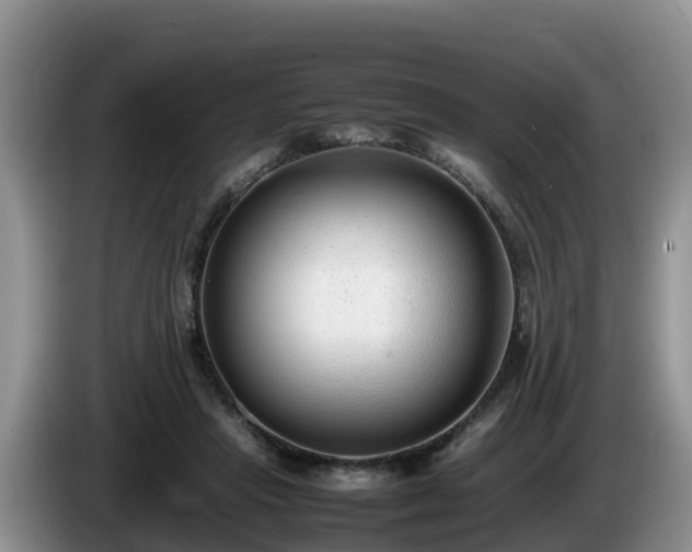 X0000086240453200704051222