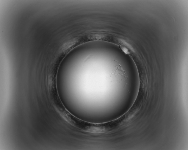 X0000086240455200704051222