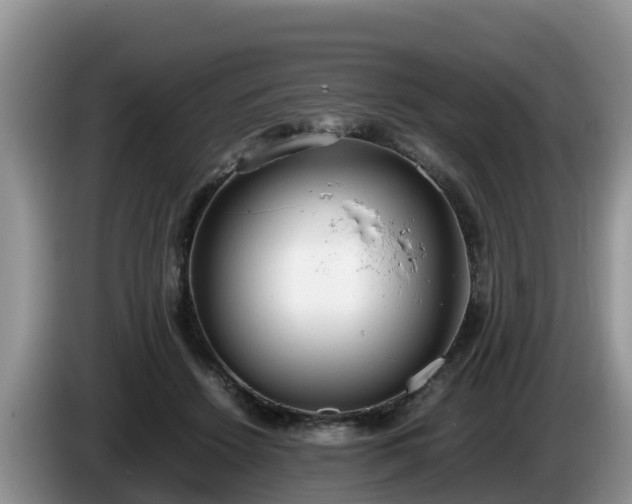 X0000086240456200704051222