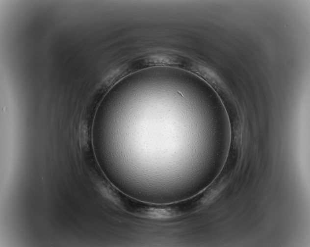 X0000086240457200704051222