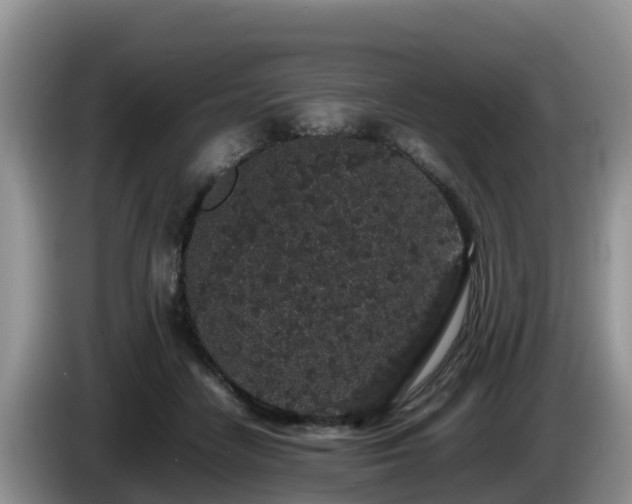 X0000086240458200704051222