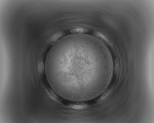 X0000086240459200704051222