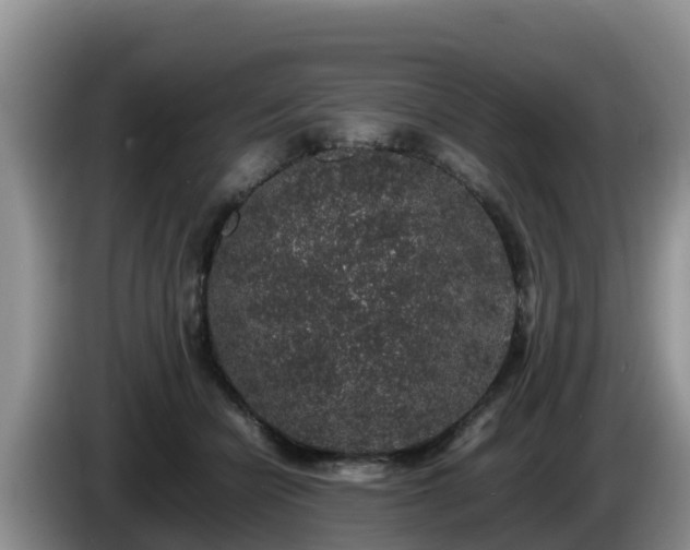 X0000086240462200704051222