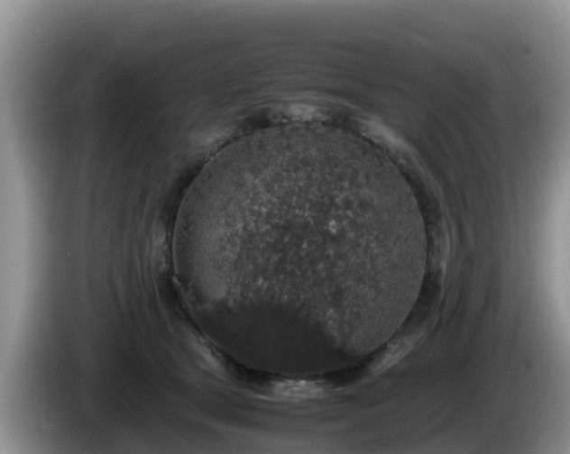 X0000086240465200704051222