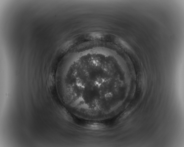 X0000086240467200704051223