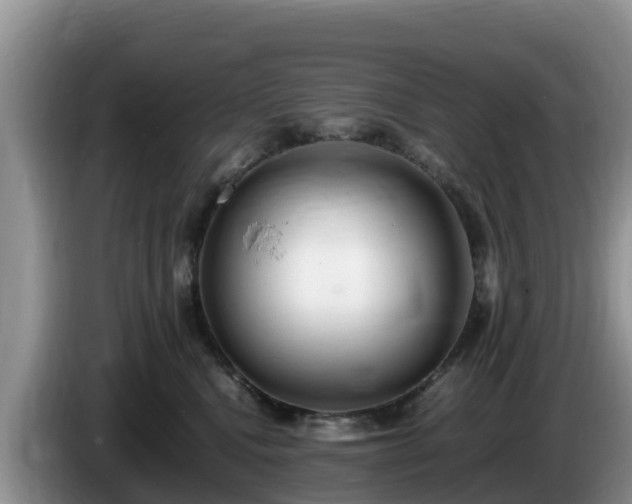 X0000086240472200704051223
