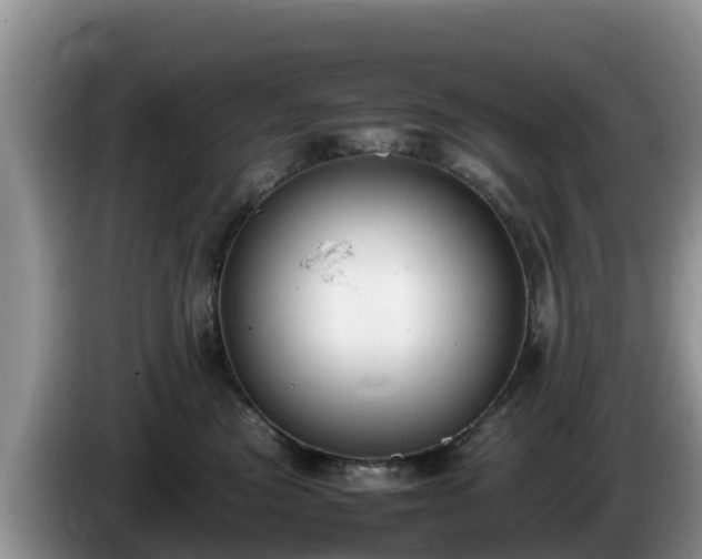 X0000086240473200704051223
