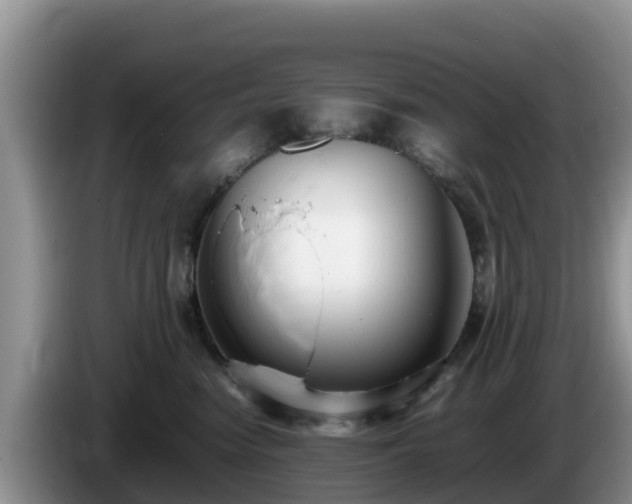 X0000086240474200704051223