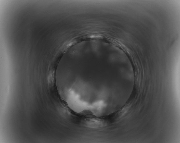 X0000086240475200704051223