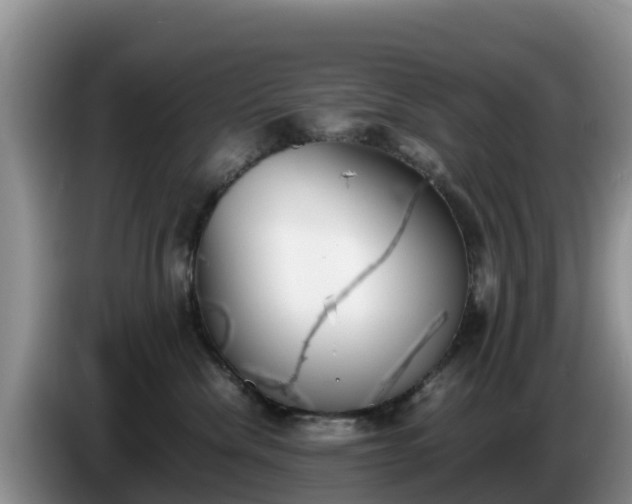 X0000086240476200704051223