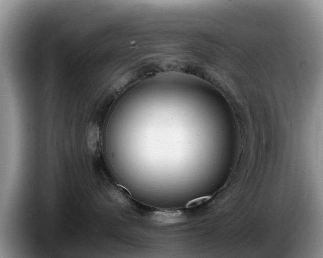 X0000086240480200704051223