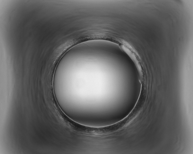 X0000086240481200704051222