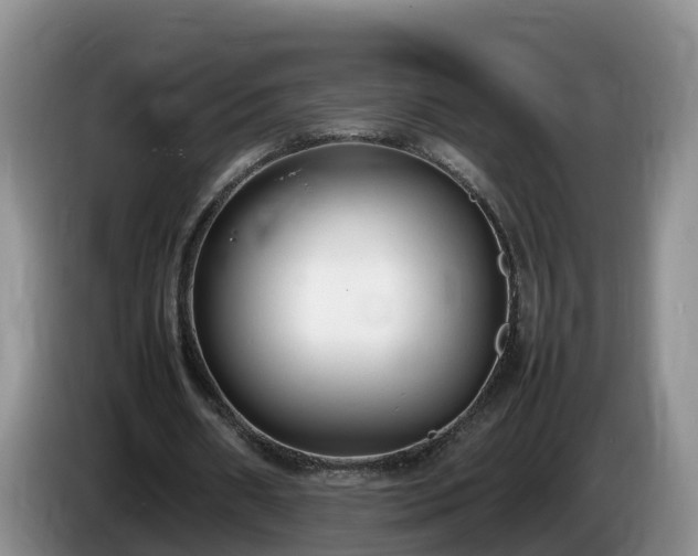 X0000086240482200704051222