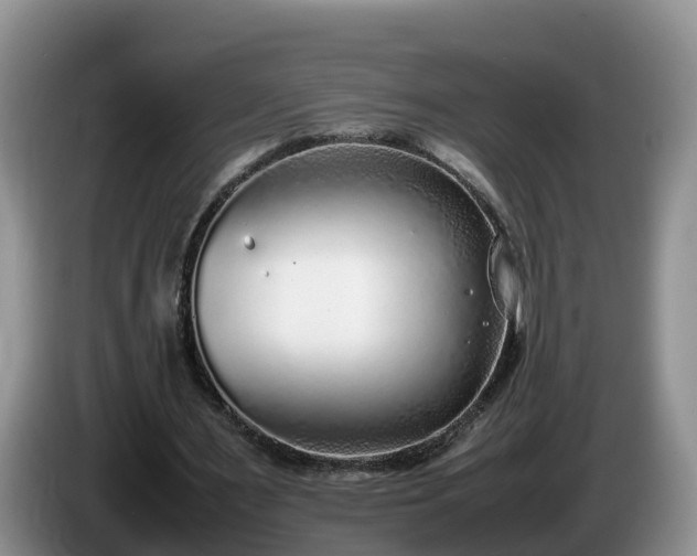 X0000086240483200704051222