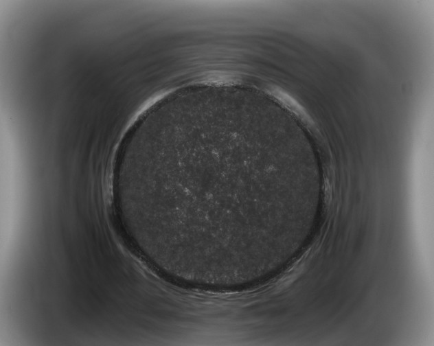 X0000086240484200704051222