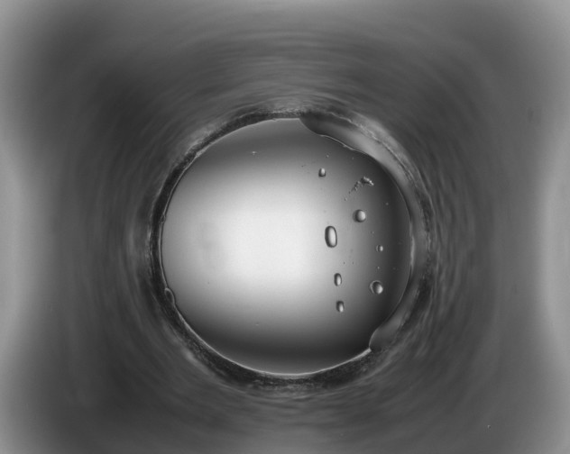 X0000086240485200704051222