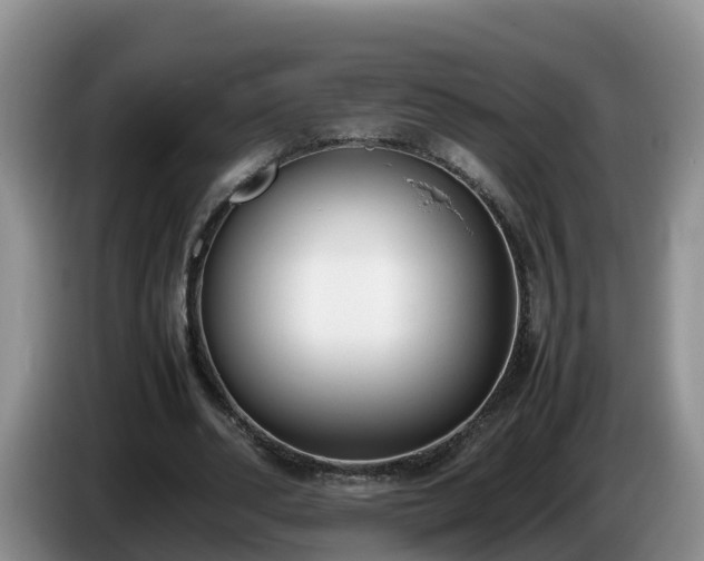 X0000086240486200704051222
