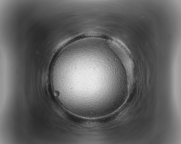 X0000086240487200704051222