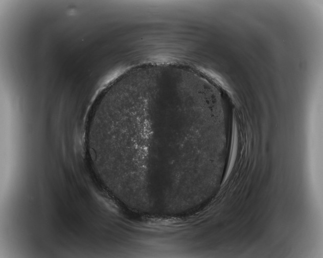 X0000086240488200704051222
