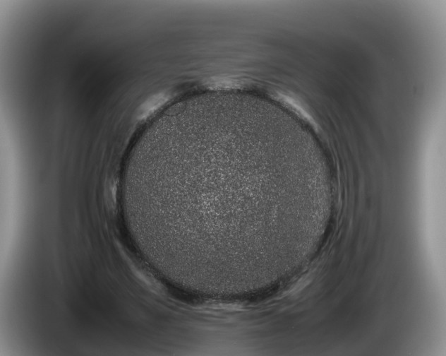 X0000086240491200704051222