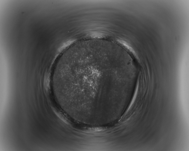X0000086240492200704051222
