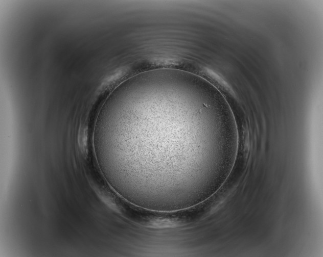 X0000086240494200704051222