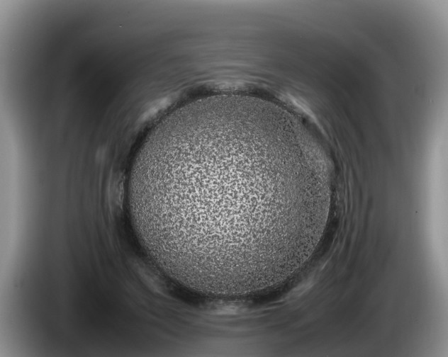 X0000086240495200704051222