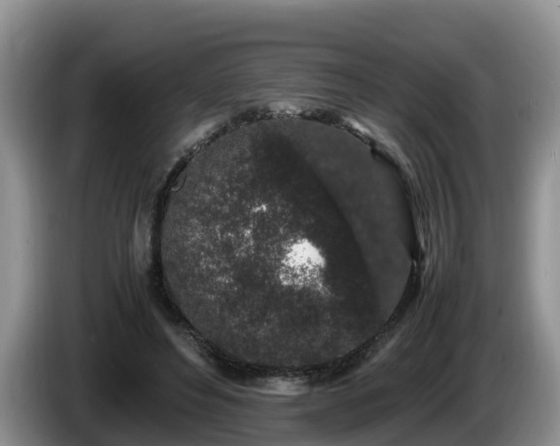X0000086240496200704051222