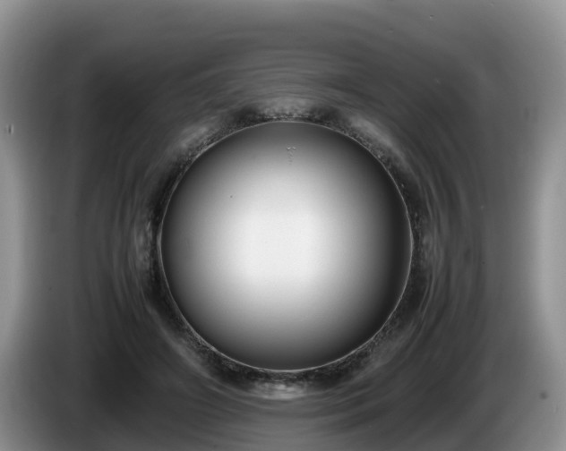 X0000086240498200704051222