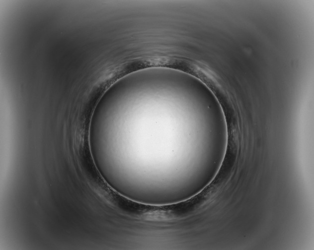 X0000086240499200704051222